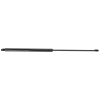 AGCO Gas Strut 7066590M91 Parts - True Ag & Turf