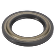 AGCO SEAL 793411M1 Parts - True Ag & Turf