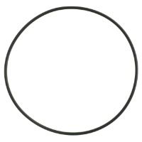 AGCO O-RING 7067152M1 Parts - True Ag & Turf
