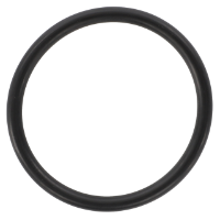 AGCO O-RING 3641231M1 Parts - True Ag & Turf