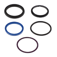 AGCO Seal Kit 1082060M91 Parts - True Ag & Turf