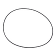 AGCO O-Ring, √ò 249,93 X 3,53 mm 3382250M2 Parts - True Ag & Turf