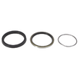 AGCO Seal Kit 7039894 Parts - True Ag & Turf