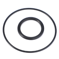 AGCO O-Ring, Hydraulic Filter 72454742 Parts - True Ag & Turf