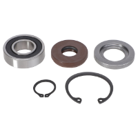 AGCO Seal Kit 700731929 Parts - True Ag & Turf