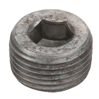 AGCO PLUG SCREW FEL128112 Parts - True Ag & Turf