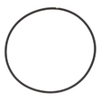 AGCO O-RING 4226268M1 Parts - True Ag & Turf