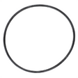 AGCO O-RING ACP0287390 Parts - True Ag & Turf
