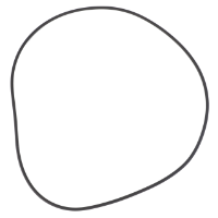 AGCO O-Ring, √ò 225,90 X 3,53 mm 3382251M1 Parts - True Ag & Turf