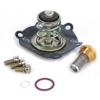 AGCO Fuel Pump Repair Kit, Pierburg Pump 72481925 Parts - True Ag & Turf