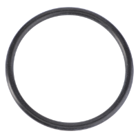 AGCO Seals 72613165 Parts - True Ag & Turf