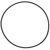 AGCO O-RING 72620885 Parts - True Ag & Turf