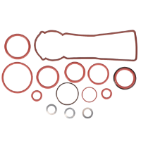 AGCO Seal Kit 72493296 Parts - True Ag & Turf