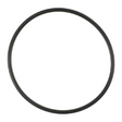 AGCO O-RING 6253052M1 Parts - True Ag & Turf