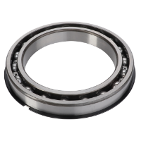 AGCO Ball Bearing 3010839X91 Parts - True Ag & Turf