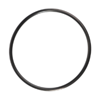 AGCO O-RING 338909X1 Parts - True Ag & Turf