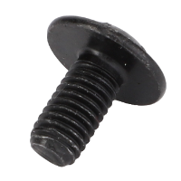 AGCO TORX HEAD SCREW ACW5571990