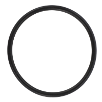 AGCO O-RING 394813X1 Parts - True Ag & Turf