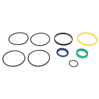 AGCO Seal Kit 700736239 Parts - True Ag & Turf