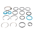 AGCO SEALS KIT ACP0023550 Parts - True Ag & Turf