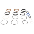 AGCO SEAL 1607427V91 Parts - True Ag & Turf
