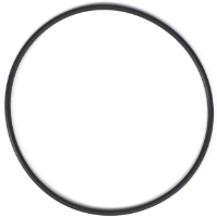 AGCO O-RING WR55424 Parts - True Ag & Turf