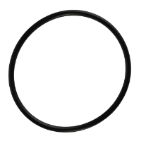 AGCO O-RING 70923987 Parts - True Ag & Turf