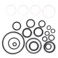 AGCO Seal Kit, Hydraulic Valve Block 72330058 Parts - True Ag & Turf