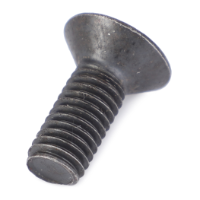 AGCO Torx Bolt 3010348X1  - True Ag & Turf