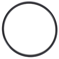 AGCO O-RING WR55447 Parts - True Ag & Turf