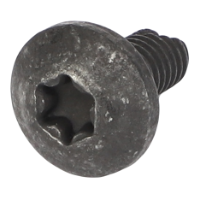 AGCO TORX HEAD SCREW CH9X-2043