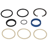 AGCO SEALS KIT 700712078 Parts - True Ag & Turf