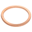 AGCO SEALING RING 1118737 Parts - True Ag & Turf