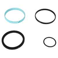 AGCO SEAL KIT 72455438 Parts - True Ag & Turf
