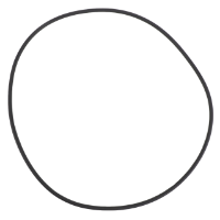 AGCO O-RING 700736323 Parts - True Ag & Turf