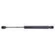 AGCO Gas Strut, Door 72492400 Parts - True Ag & Turf
