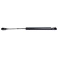 AGCO Gas Strut, Door 72492400 Parts - True Ag & Turf