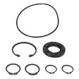 AGCO SEAL REPAIR KIT 700700710 Parts - True Ag & Turf