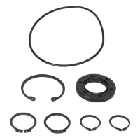 AGCO SEAL REPAIR KIT 700700710 Parts - True Ag & Turf