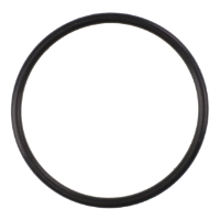 AGCO O-RING 606029D1 Parts - True Ag & Turf
