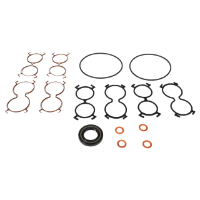 AGCO Seal Kit 700737177 Parts - True Ag & Turf