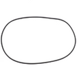 AGCO O-RING AG051592 Parts - True Ag & Turf
