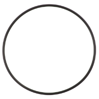AGCO O-RING SEAL CH5F-3999 Parts - True Ag & Turf