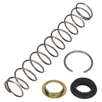 AGCO REPAIR KIT 4347570 Parts - True Ag & Turf
