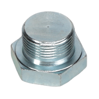 AGCO PLUG B167 Parts - True Ag & Turf