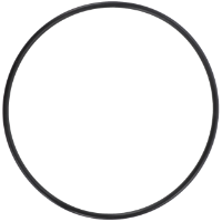 AGCO O-RING CH6V-2483 Parts - True Ag & Turf