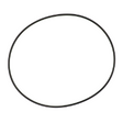 AGCO O-RING E231369 Parts - True Ag & Turf