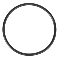 AGCO O-Ring 70923684 Parts - True Ag & Turf