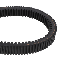 AGCO Header Drive Belt, 4447 mm 71456526 Parts - True Ag & Turf