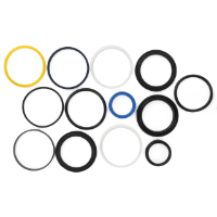 AGCO SEALS KIT AL5036154 Parts - True Ag & Turf